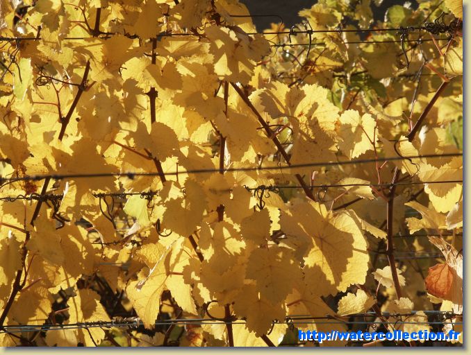 Diapositive suivante